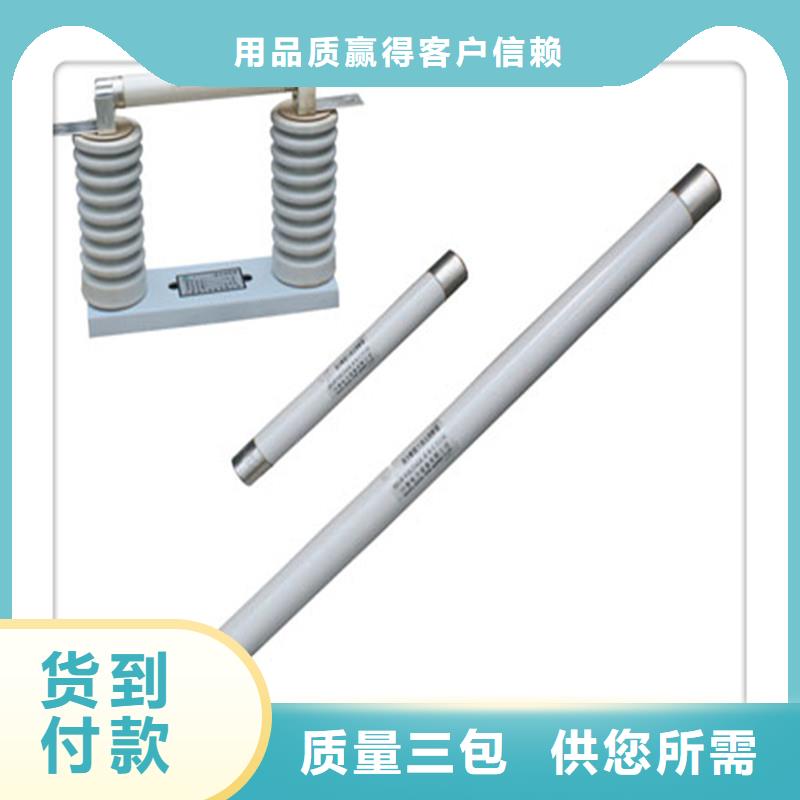 XRNP-3.6KV/1A高压PT熔管