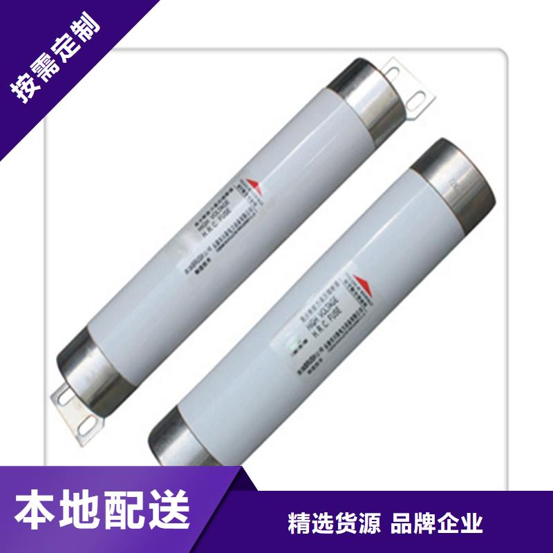 BR2-10/25A熔断器樊高