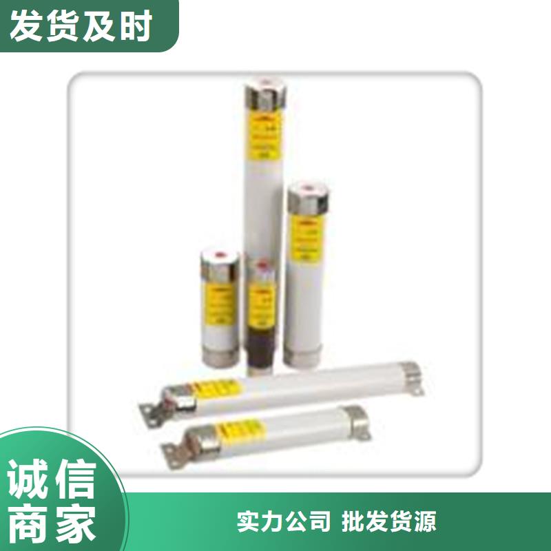 BR1-10/60A双管限流熔断器