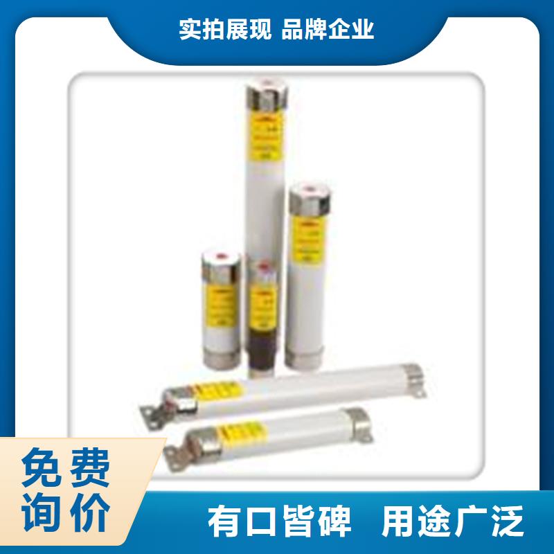 BR2-10/50A双管限流熔断器