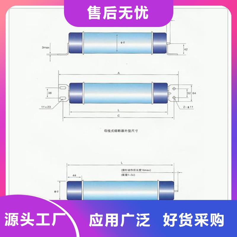 XRNP1-12/0.5A限流熔断器