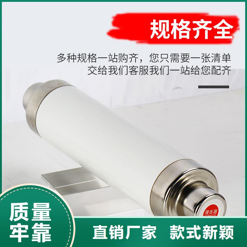 BR1-10/2A限流熔断管樊高