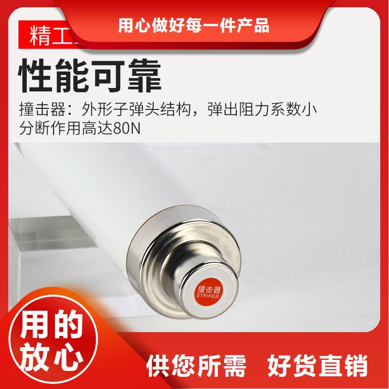 BR1-10/2A限流熔断管樊高