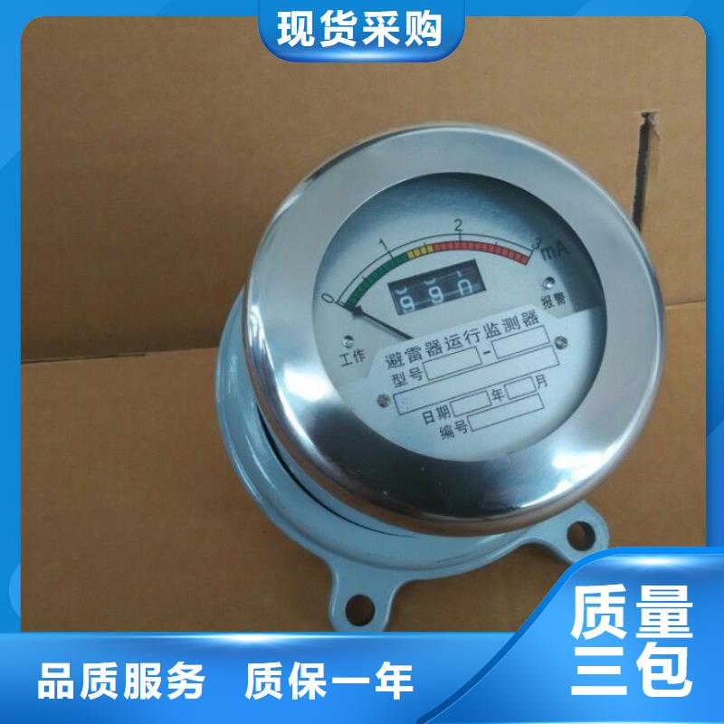 JSM-2/800在线监测仪
