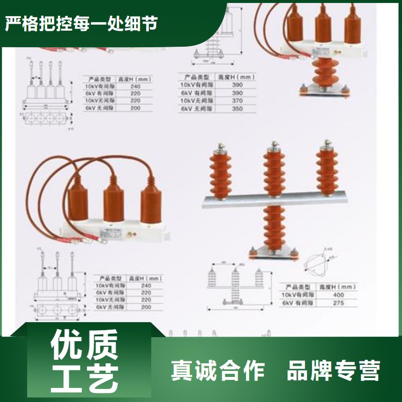 JCQ-6A避雷器计数器价格