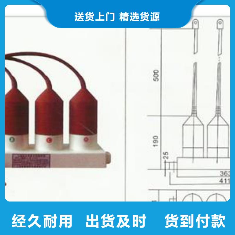 JSM-2/800在线监测仪