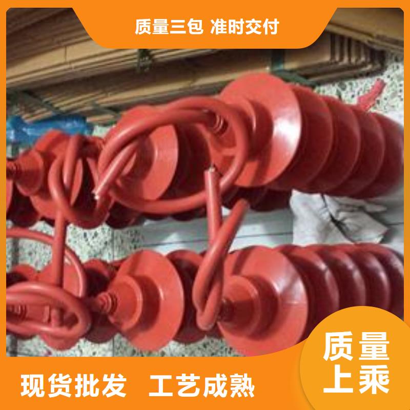 JCQ-6B在线监测器图片