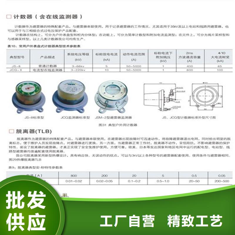 JCQ-6B在线监测器图片
