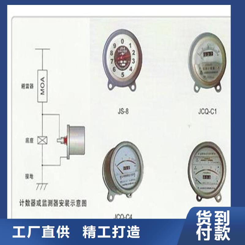 JSM-2/800在线监测仪