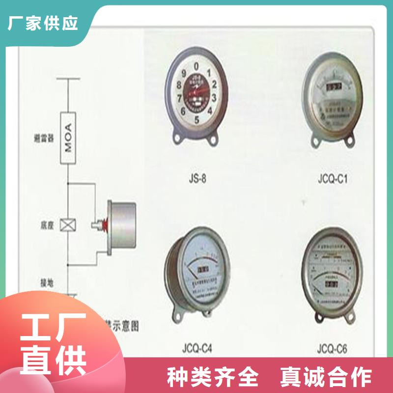 JS-85避雷器计数器