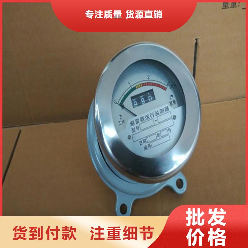 JS-10避雷器计数器