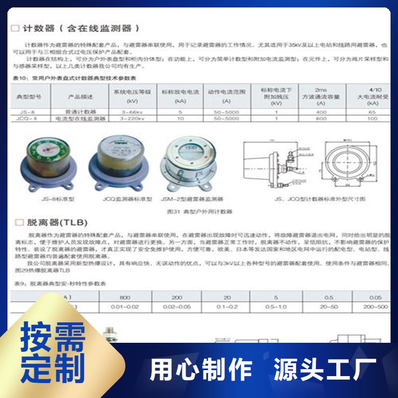 JSY-8S放电计数器