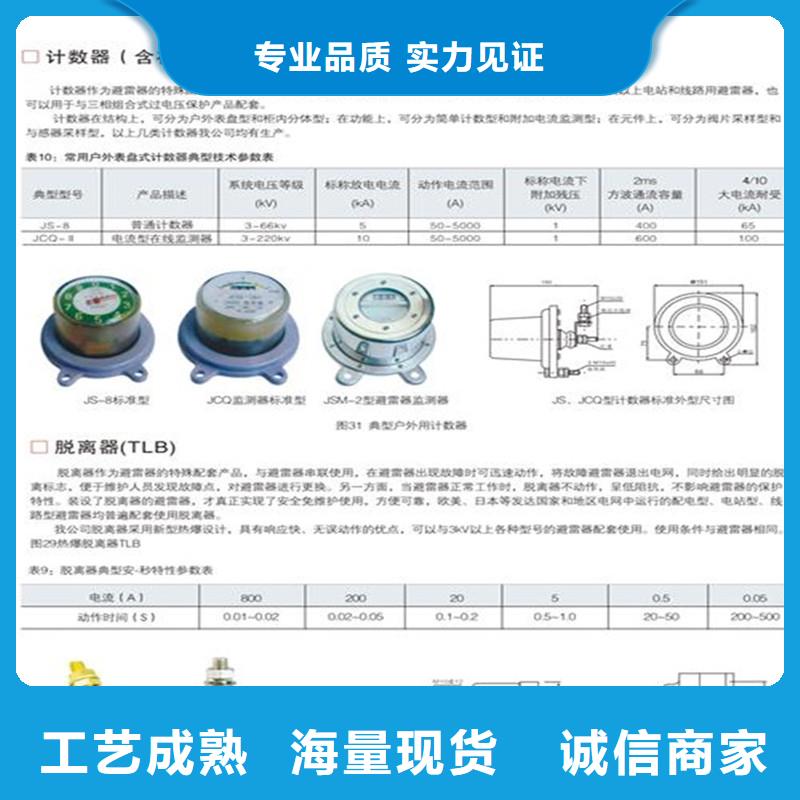 JSY-85放电计数器