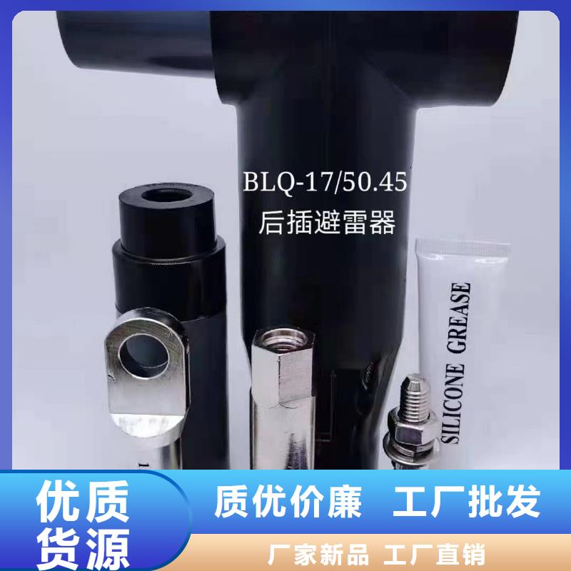 三芯户外终端WLS-35/3.125-50