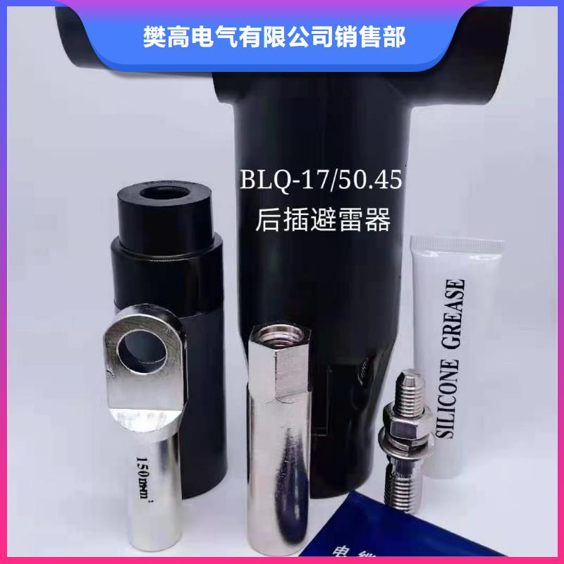 WSY-10/1.2单芯户外终端头