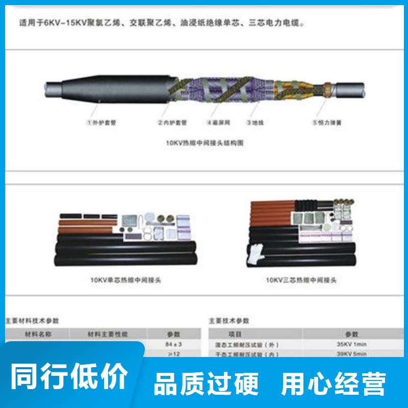 三芯户外终端WLS-35/3.125-50