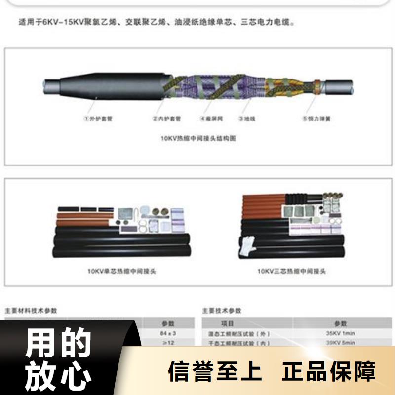 单芯冷缩户内终端头NLS-10/1.3