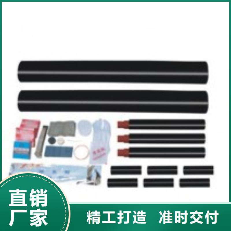 WSY-10/1.2单芯户外终端头