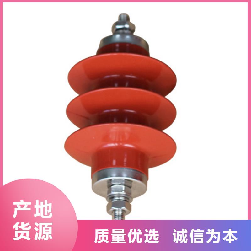FZ-6KV阀式避雷器