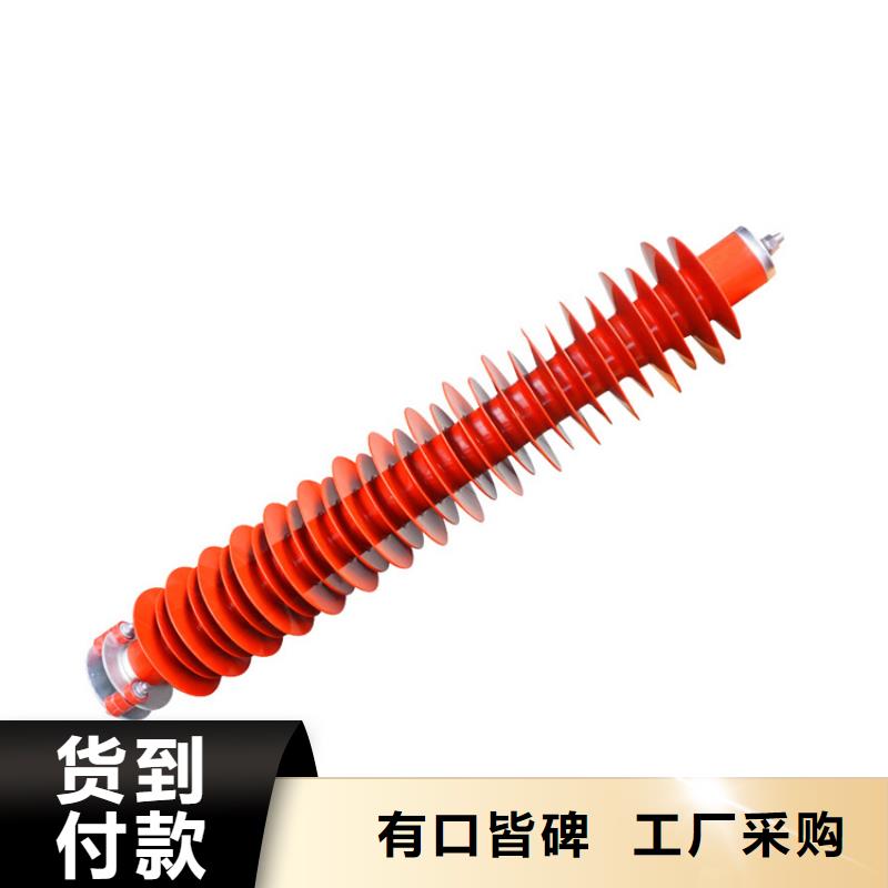 XHQ5-12.7/36穿刺型外间隙避雷器樊高电气