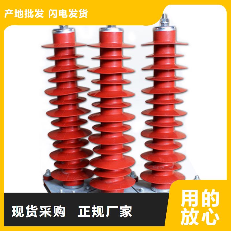 FZ-20KV阀式避雷器