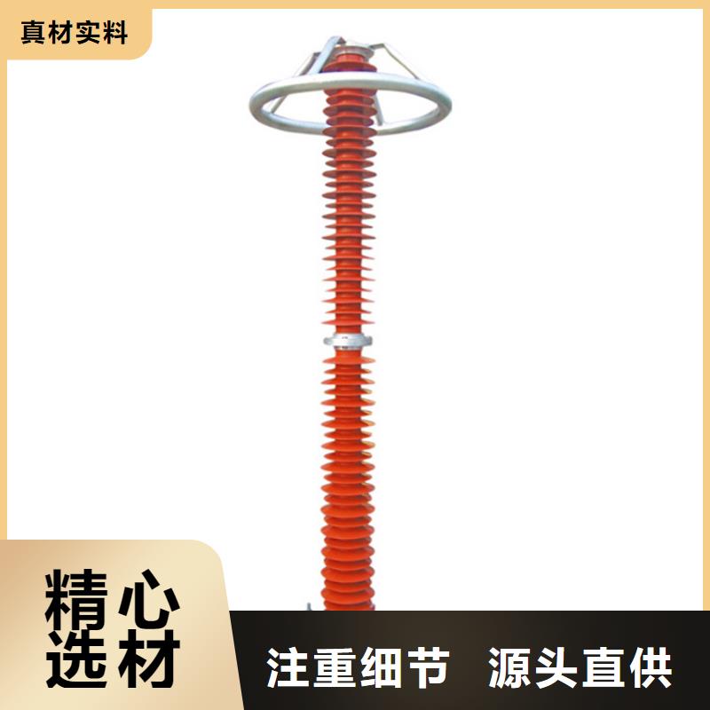 Y5WS1-12.7/50陶瓷氧化锌避雷器