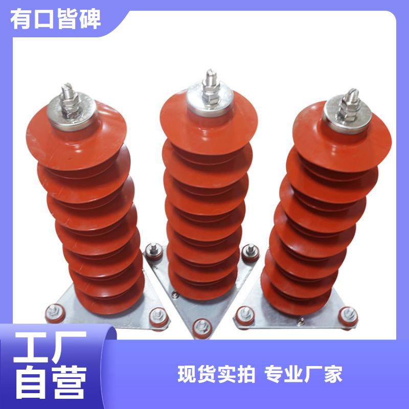Y10W1-204/532W线路间隙避雷器