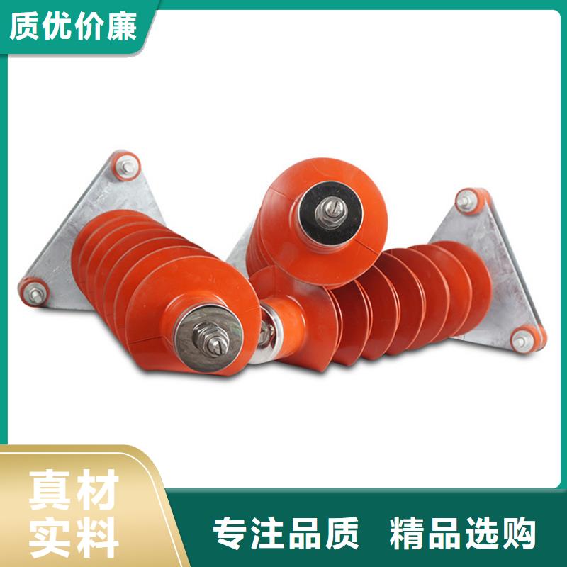 FZ2-66KV阀式避雷器