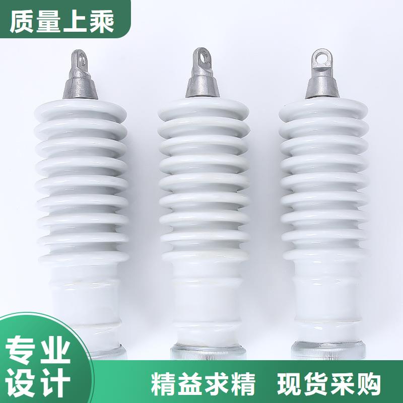 HY5WD-23/51电机型避雷器