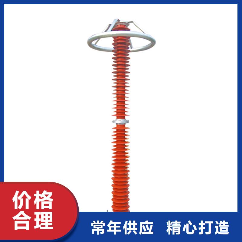 HY2.5WD-8/19电机型高压避雷器
