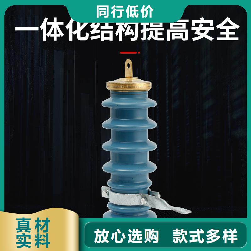 HY2.5WD-8/19电机型高压避雷器
