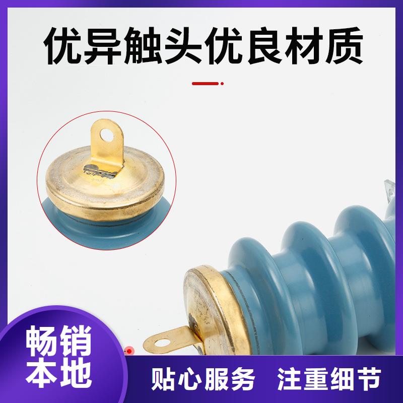 HY5WX-54/142氧化锌避雷器樊高电气