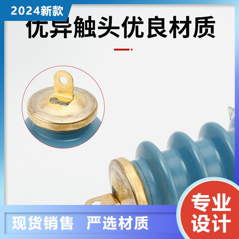 Y10W1-192/500W金属氧化物避雷器