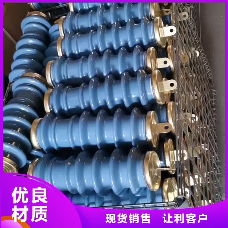 HY5WD-23/51电机型避雷器
