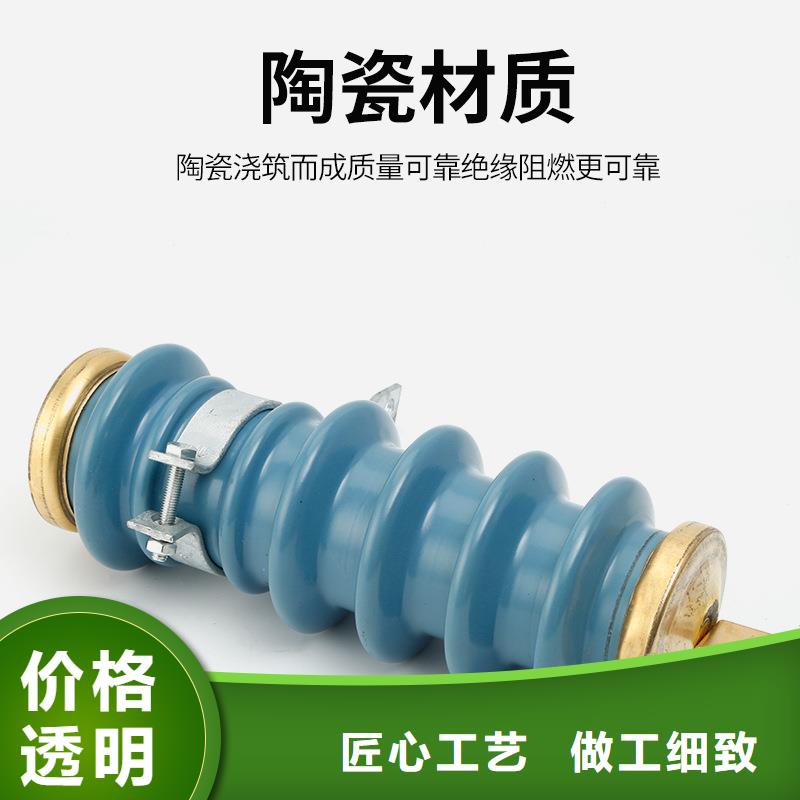 HY5WS-17/50L电机型避雷器