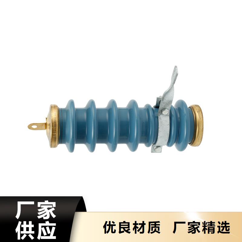 HY10WX-100/260高压避雷器