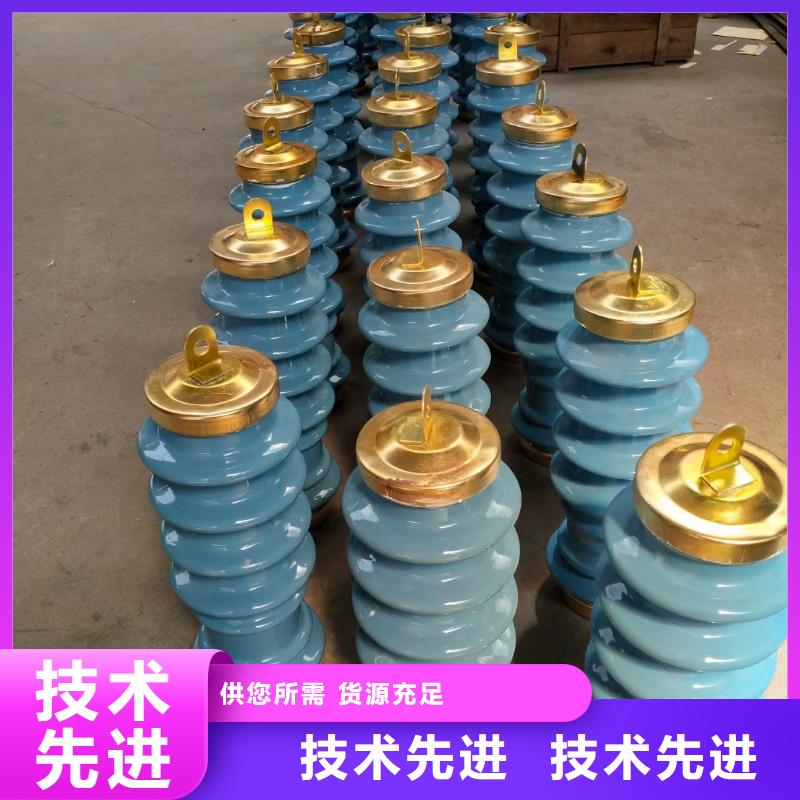 Y5WR-54/134陶瓷氧化锌避雷器