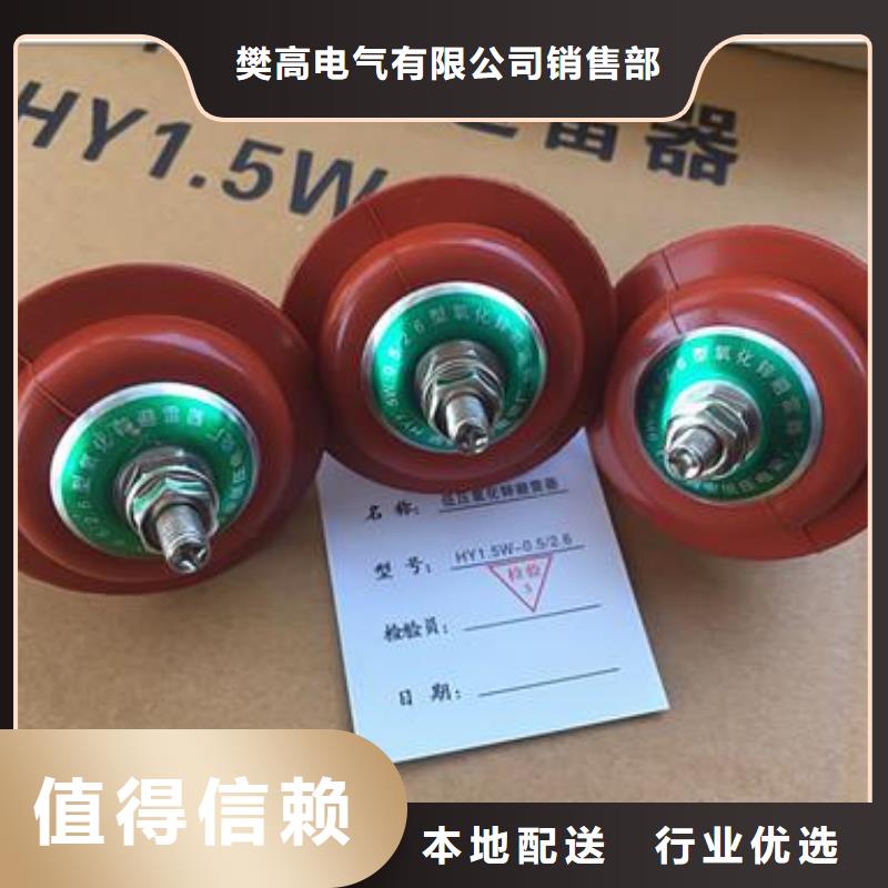 FZ-20KV阀式避雷器