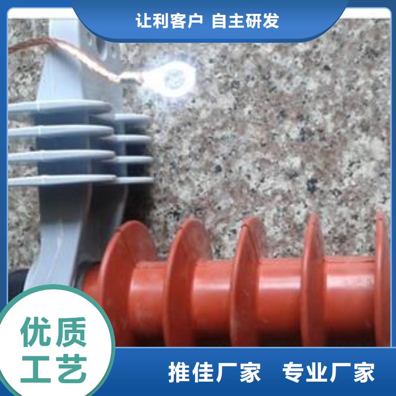 HY10CX-108/280氧化锌避雷器