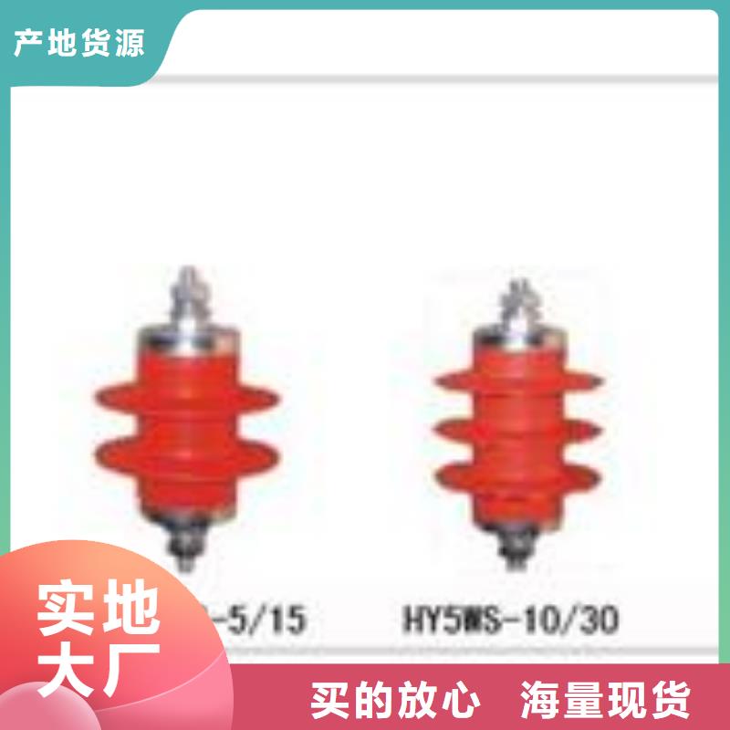 HY5WD-20/45电机型避雷器