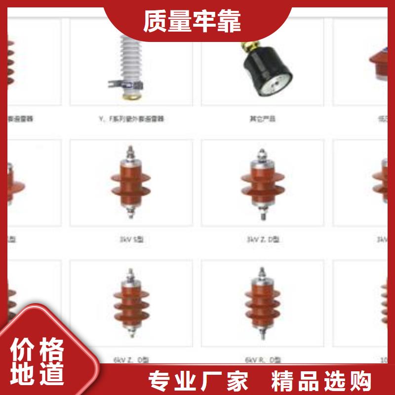 YH10CX-100/260E(电缆用)支柱式避雷器