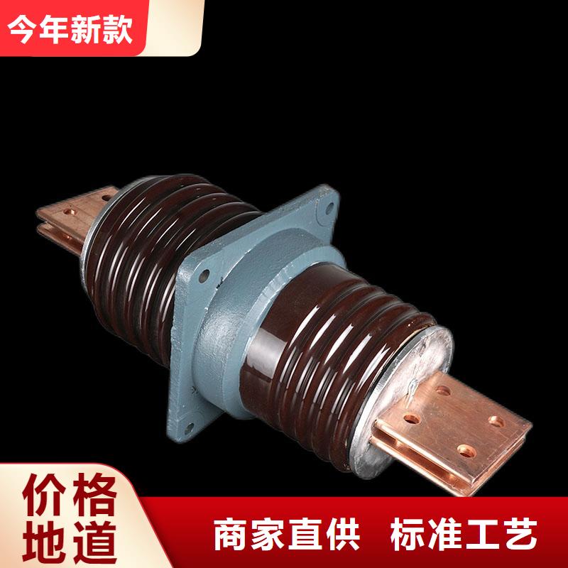 CWB-10/400A高压穿墙套管樊高
