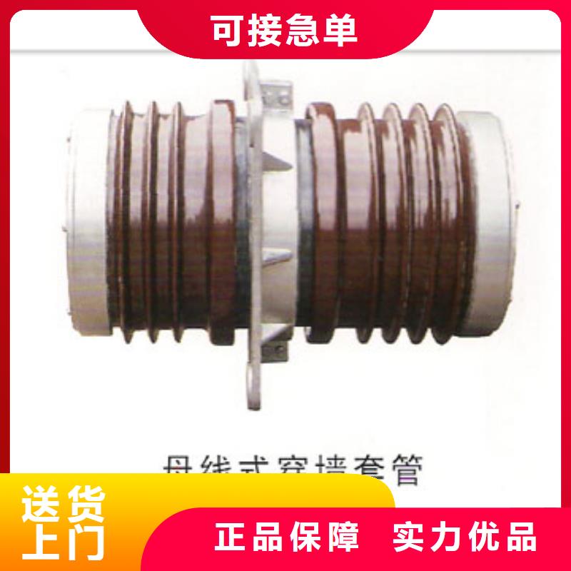 FCWW-12/1600A高压硅胶穿墙套管