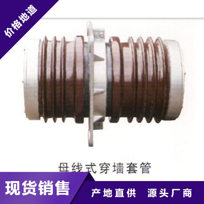 CWB-10/400高压套管