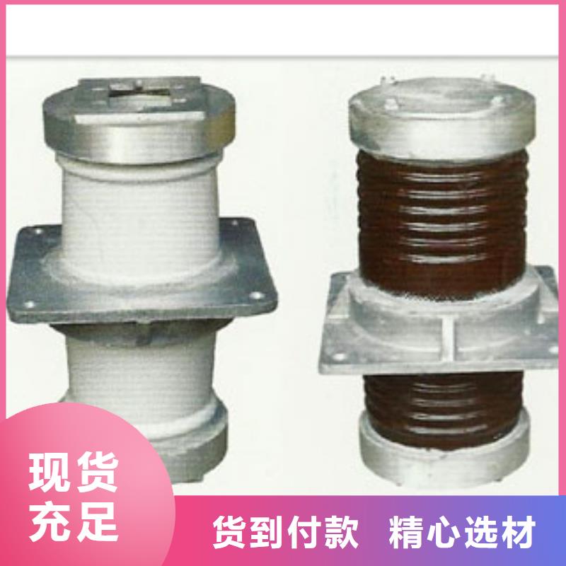 CWC-10/1250高压穿墙套管
