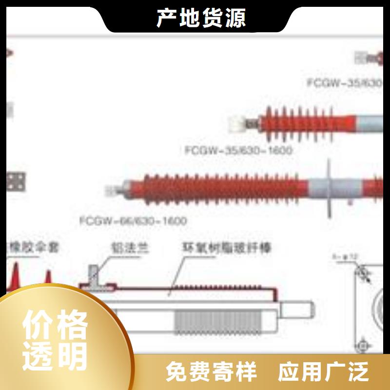 FCWW-24/2000高压硅胶穿墙套管