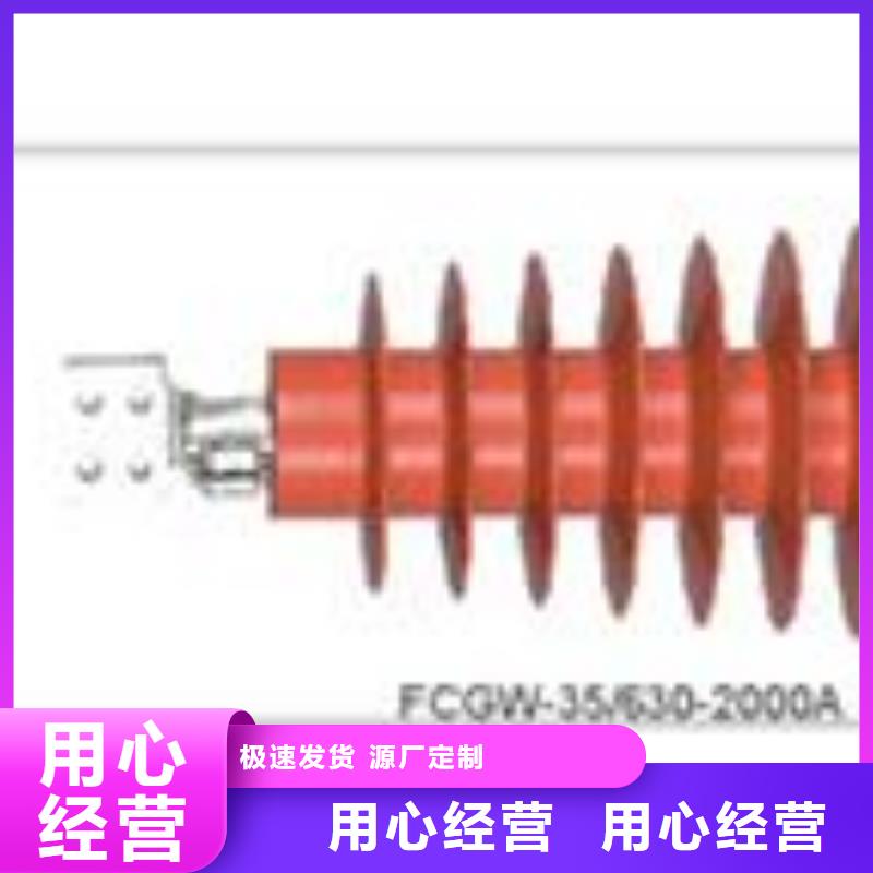 FCGW-40.5/3150硅橡胶穿墙套管