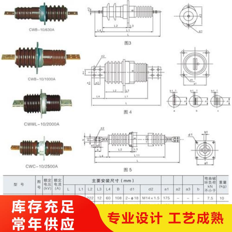 CWW-40.5/4000陶瓷套管樊高