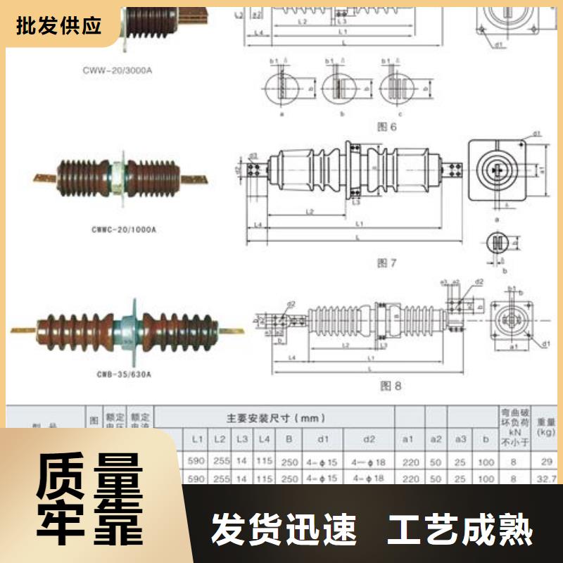 FCGW-40.5/2500硅胶穿墙套管樊高