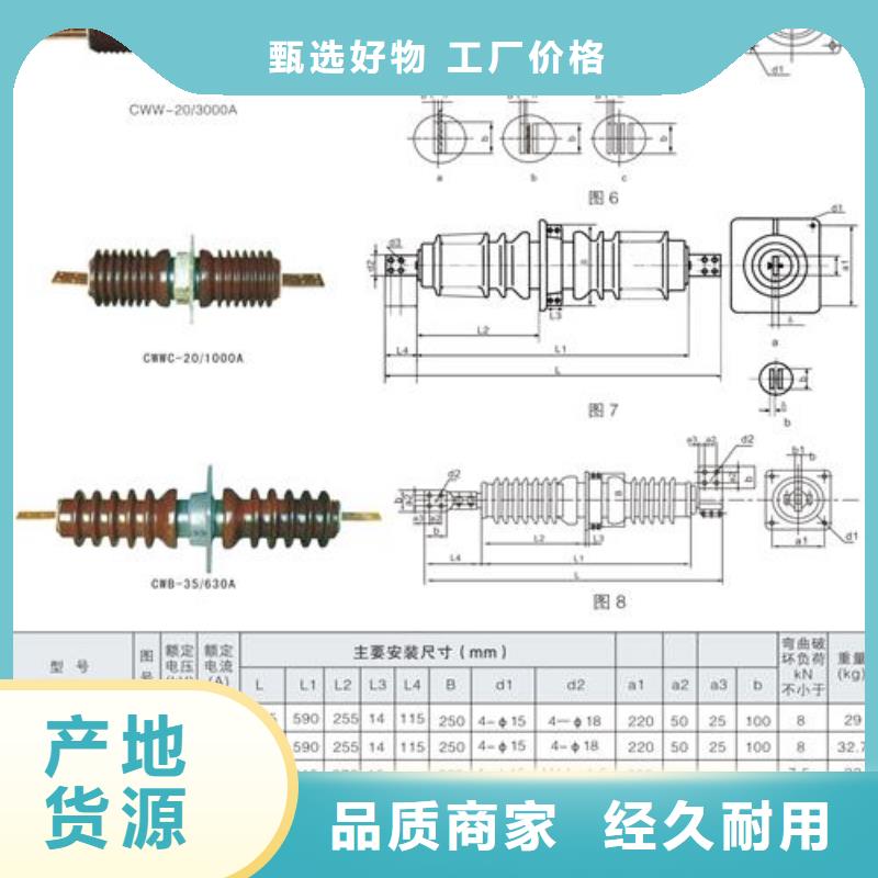 FCWW-12/630高压复合套管